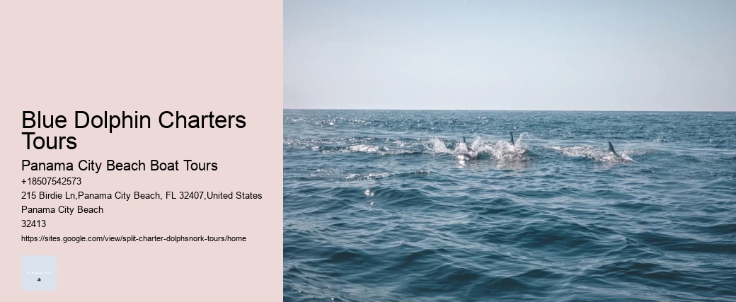 How Much Does It Cost To Swim With The Dolphins At Dolphin Cove