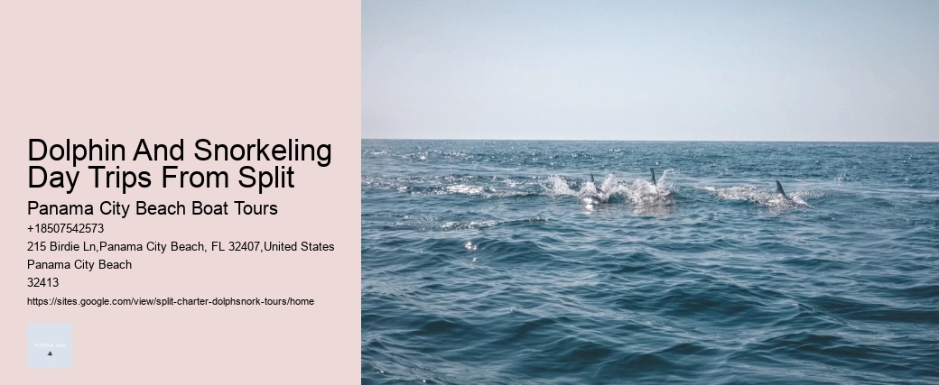 Dolphin And Snorkeling Day Trips From Split Panama City Beach Boat Tours Dolphin And Snorkeling Day Trips From Split