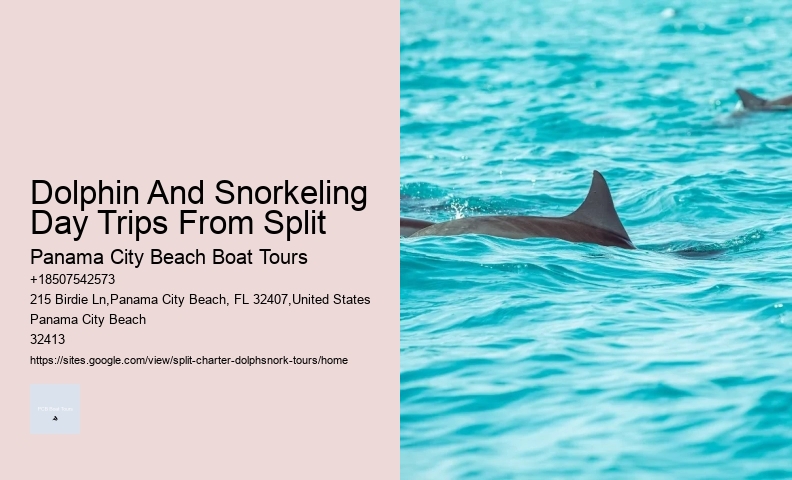 Split Memorable Dolphin And Snorkeling Adventures