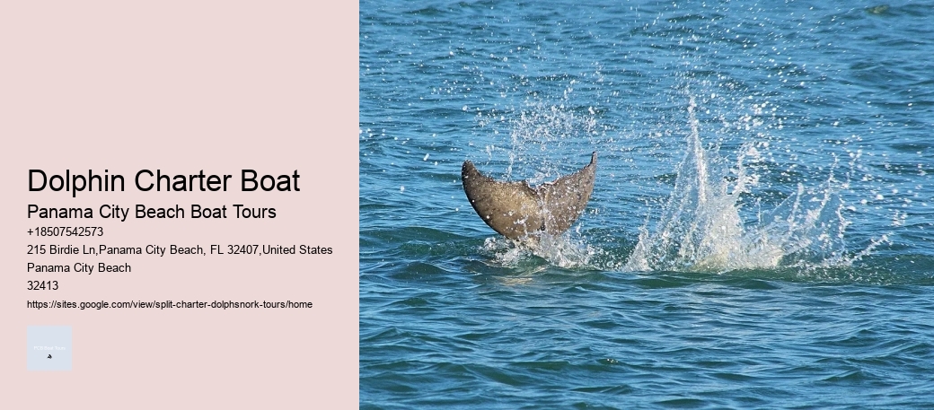 Dolphin Charter Boat Panama City Beach Boat Tours Dolphin Charter Boat