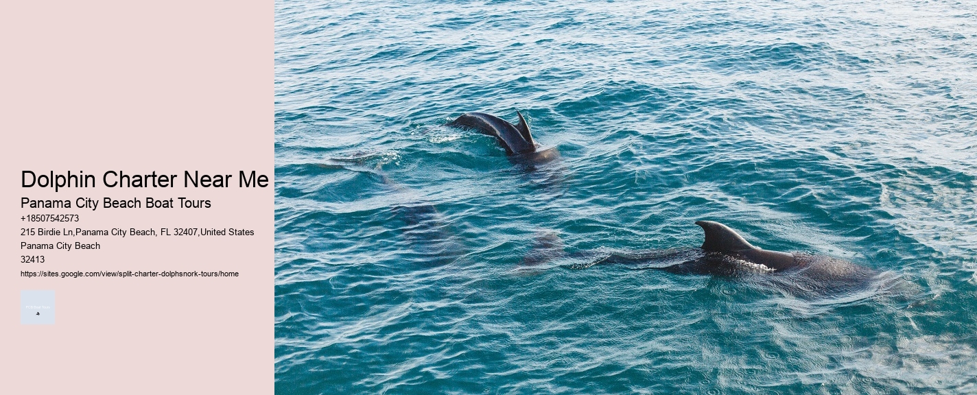 Dolphin Charter Near Me Panama City Beach Boat Tours Dolphin Charter Near Me