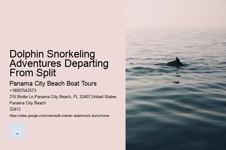 Dolphin Snorkeling Adventures Departing From Split Panama City Beach Boat Tours Dolphin Snorkeling Adventures Departing From Split