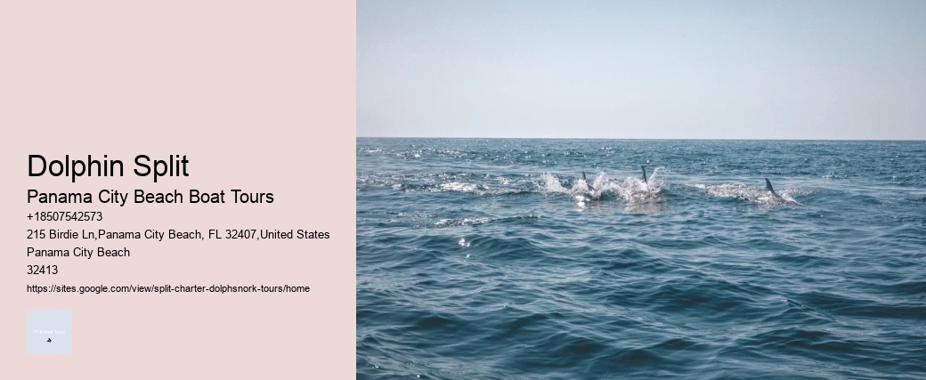 Dolphin Split Panama City Beach Boat Tours Dolphin Split