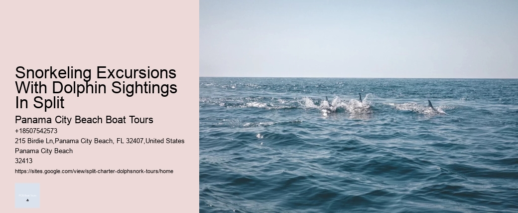 How Do You Spot Dolphins On A Cruise