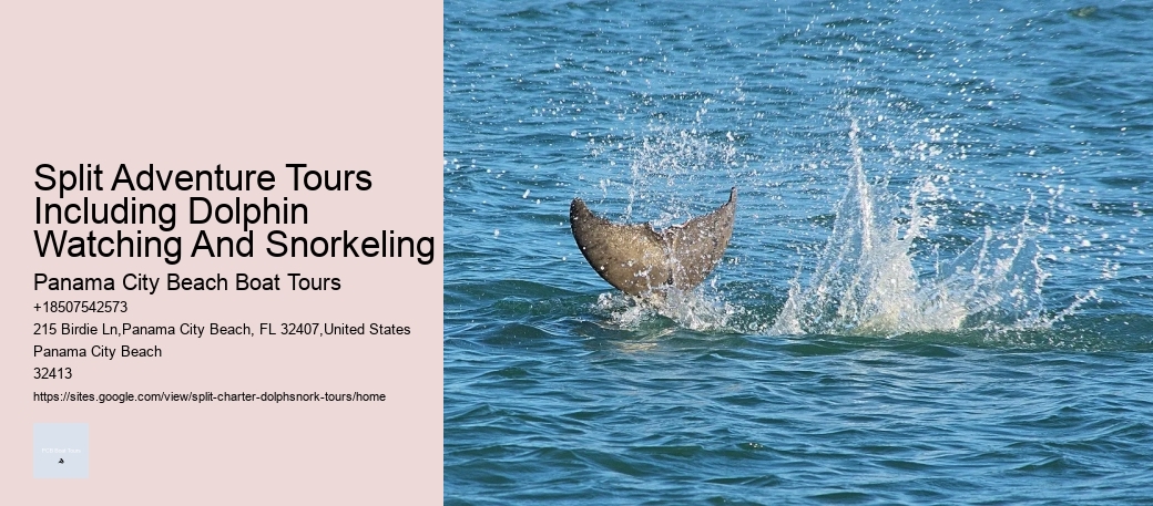 Split Adventure Tours Including Dolphin Watching And Snorkeling Panama City Beach Boat Tours Split Adventure Tours Including Dolphin Watching And Snorkeling