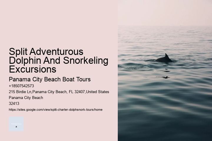 Split Adventurous Dolphin And Snorkeling Excursions Panama City Beach Boat Tours Split Adventurous Dolphin And Snorkeling Excursions