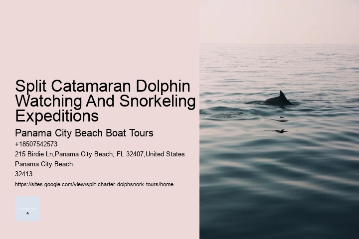 Split Catamaran Dolphin Watching And Snorkeling Expeditions Panama City Beach Boat Tours Split Catamaran Dolphin Watching And Snorkeling Expeditions