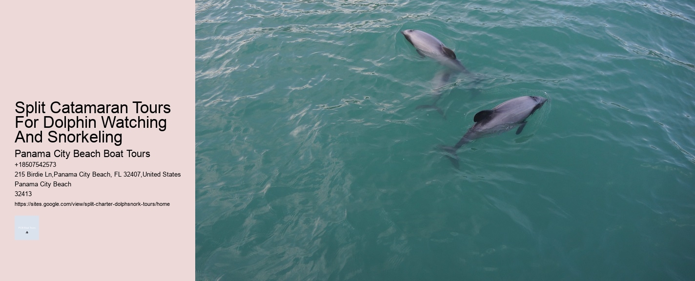 Split Catamaran Tours For Dolphin Watching And Snorkeling Panama City Beach Boat Tours Split Catamaran Tours For Dolphin Watching And Snorkeling