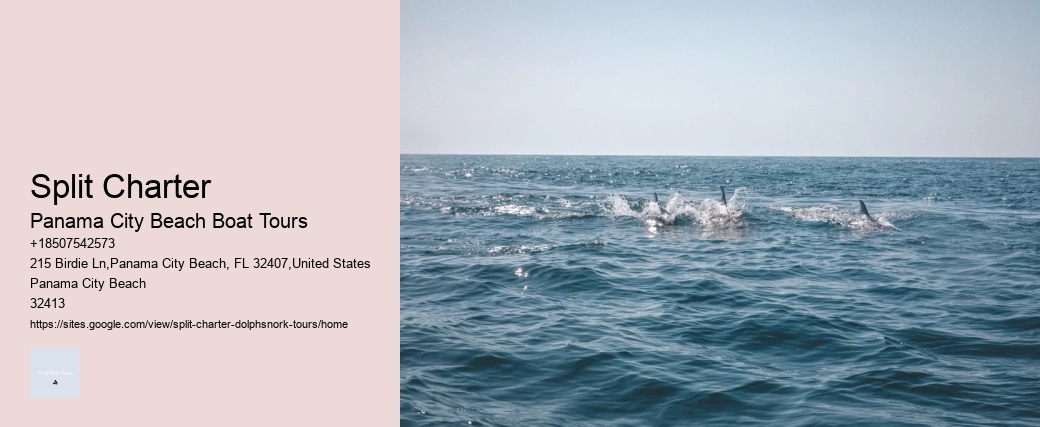 Split Charter Panama City Beach Boat Tours Split Charter