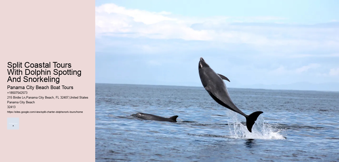 Split Coastal Tours With Dolphin Spotting And Snorkeling Panama City Beach Boat Tours Split Coastal Tours With Dolphin Spotting And Snorkeling