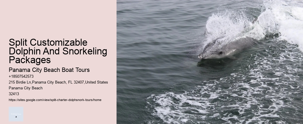 How Much Do You Tip Whale Watching