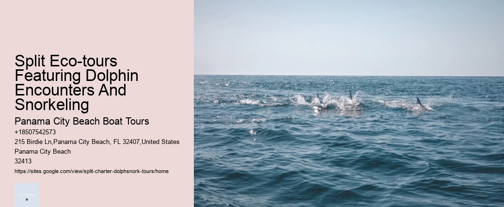 Split Eco-tours Featuring Dolphin Encounters And Snorkeling Panama City Beach Boat Tours Split Eco-tours Featuring Dolphin Encounters And Snorkeling