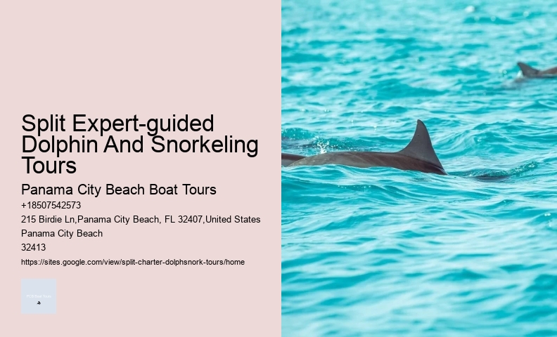 Is It Ethical To Swim With Dolphins