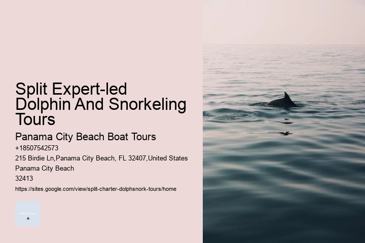 Split Expert-led Dolphin And Snorkeling Tours Panama City Beach Boat Tours Split Expert-led Dolphin And Snorkeling Tours