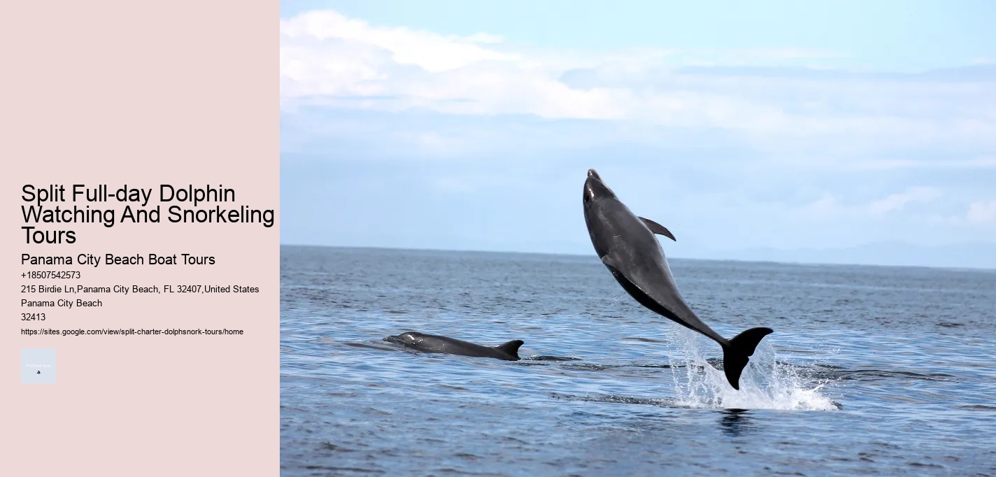 Split Full-day Dolphin Watching And Snorkeling Tours Panama City Beach Boat Tours Split Full-day Dolphin Watching And Snorkeling Tours