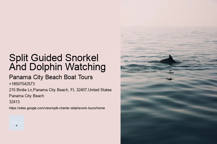 Split Guided Snorkel And Dolphin Watching Panama City Beach Boat Tours Split Guided Snorkel And Dolphin Watching