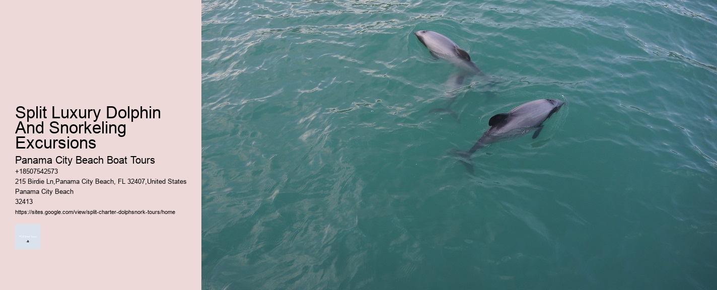 Split Luxury Dolphin And Snorkeling Excursions Panama City Beach Boat Tours Split Luxury Dolphin And Snorkeling Excursions