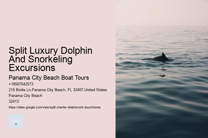 Split Luxury Snorkeling And Dolphin Experiences