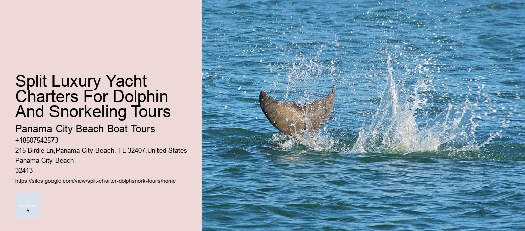 Split Luxury Yacht Charters For Dolphin And Snorkeling Tours Panama City Beach Boat Tours Split Luxury Yacht Charters For Dolphin And Snorkeling Tours