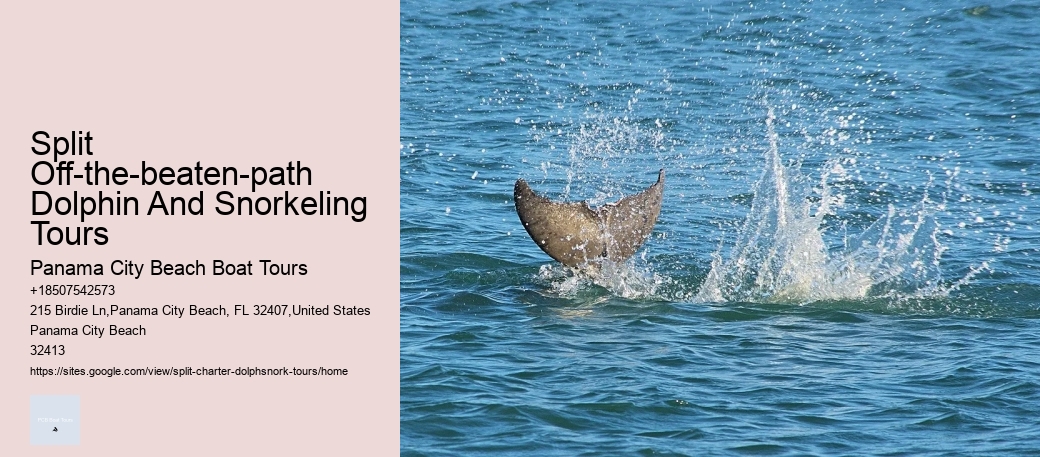 Split Off-the-beaten-path Dolphin And Snorkeling Tours Panama City Beach Boat Tours Split Off-the-beaten-path Dolphin And Snorkeling Tours