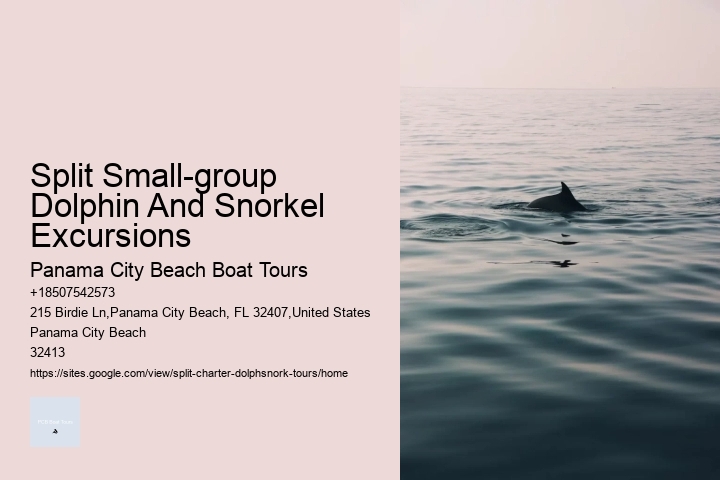 What Not To Do Around Dolphins