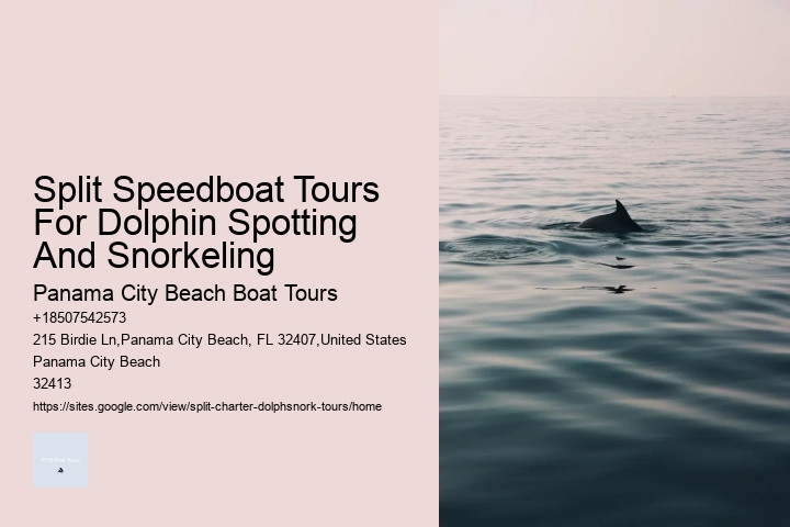 Split Speedboat Tours For Dolphin Spotting And Snorkeling Panama City Beach Boat Tours Split Speedboat Tours For Dolphin Spotting And Snorkeling