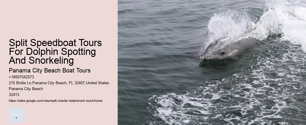 What Is The Natural Enemy Of Dolphins