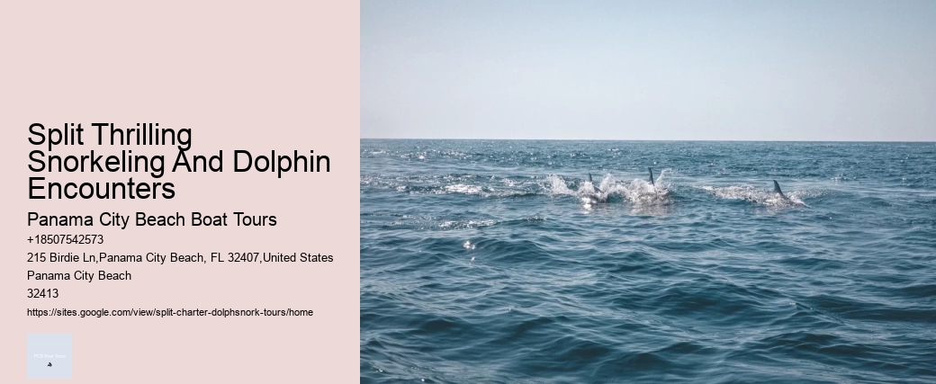 Split Thrilling Snorkeling And Dolphin Encounters Panama City Beach Boat Tours Split Thrilling Snorkeling And Dolphin Encounters