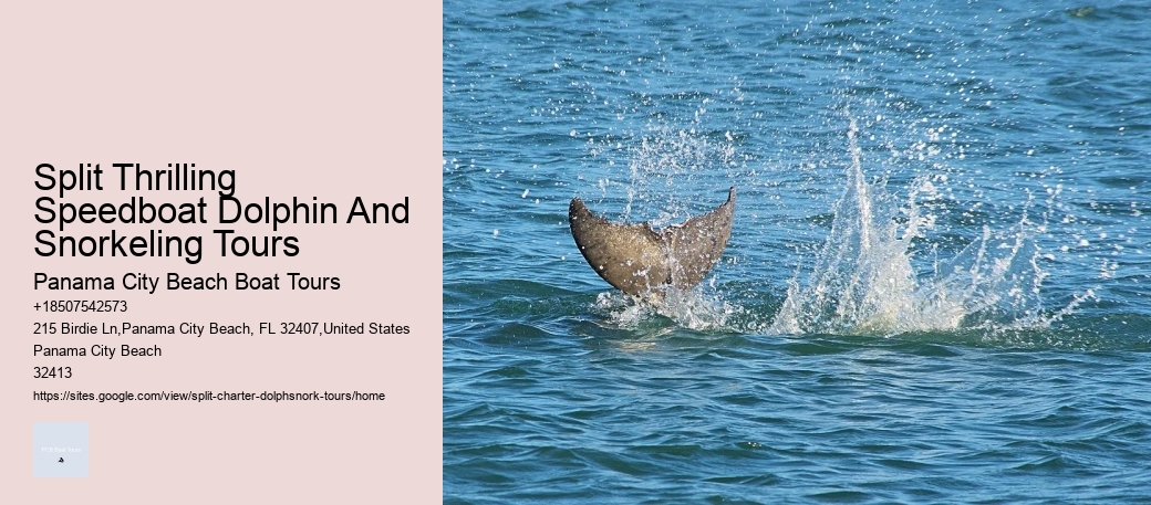 Split Thrilling Speedboat Dolphin And Snorkeling Tours Panama City Beach Boat Tours Split Thrilling Speedboat Dolphin And Snorkeling Tours