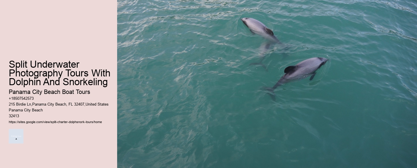 Split Underwater Photography Tours With Dolphin And Snorkeling Panama City Beach Boat Tours Split Underwater Photography Tours With Dolphin And Snorkeling