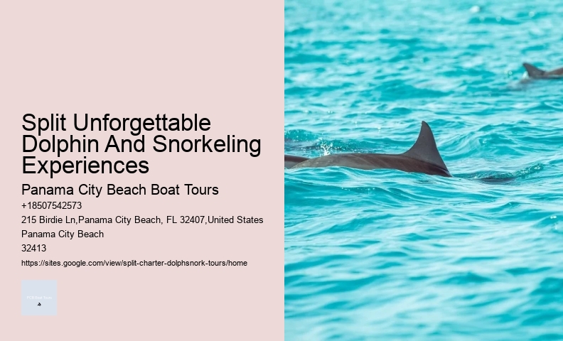 Behind The Smiles: The Suffering Endured By Captive Dolphins